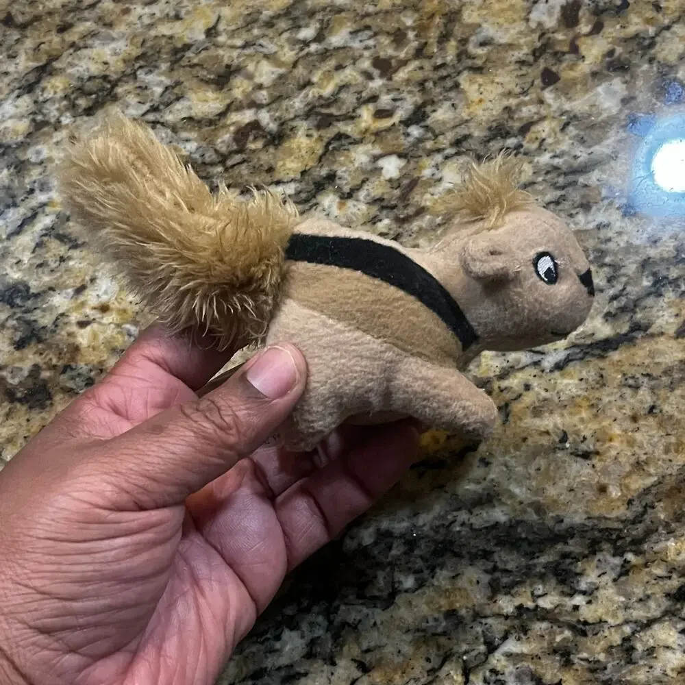 Outward Hound Hide-A-Squirrel Puzzle Plush Toys Dogs‎ 7”